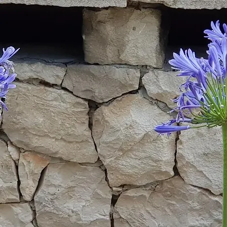Σπίτι διακοπών House Ule